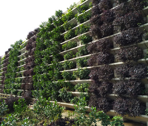 智能化装配式新型绿色生态挡土墙